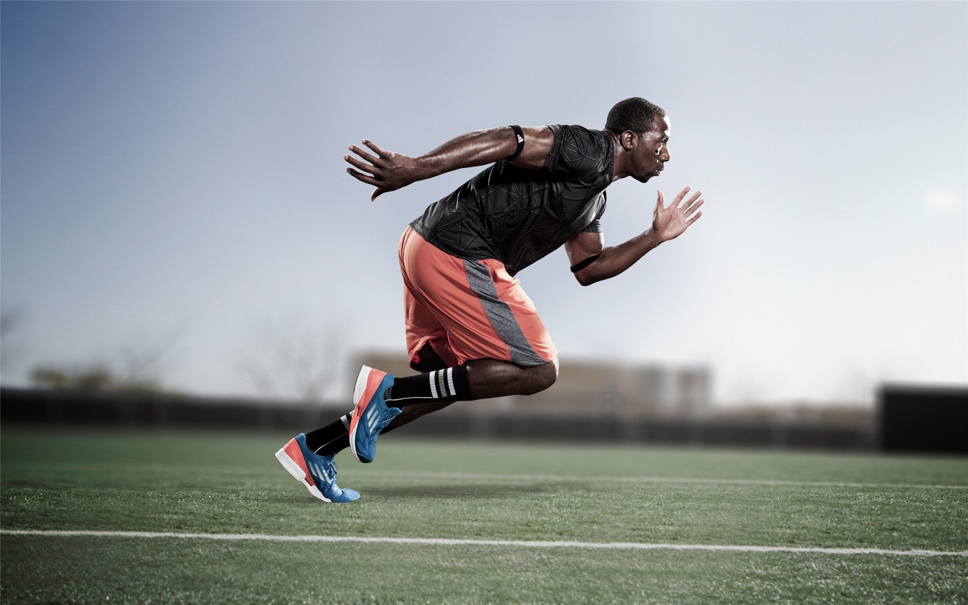 体育新闻中心服务区域性体育节庆品牌传播内容提升，体育文化节推送